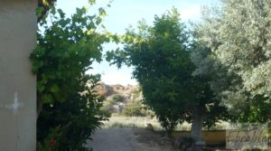 Detalle de Estupenda finca de regadío en Caspe con almendros y frutales. con agua y electricidad por 72.000€