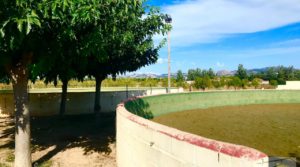 Se vende Finca hípica completamente equipada en Cretas. con local para restauración