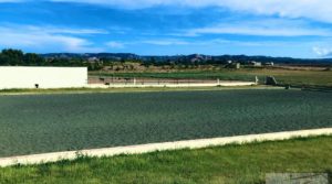 Foto de Finca hípica completamente equipada en Cretas. con lavaderos