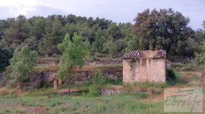 Se vende Hermosa finca con casa de piedra en La Fresneda. con balsa de riego por 35.000€