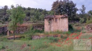 Se vende Hermosa finca con casa de piedra en La Fresneda. con balsa de riego