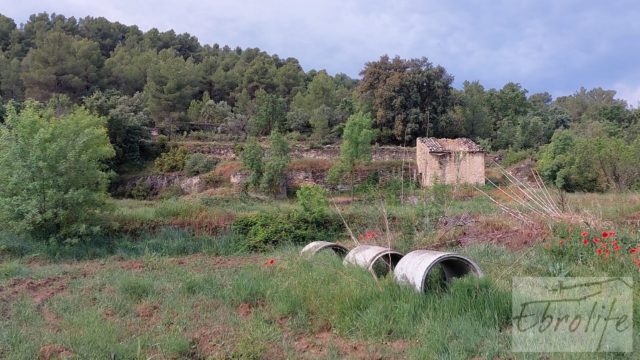 Hermosa finca con casa de piedra en La Fresneda.