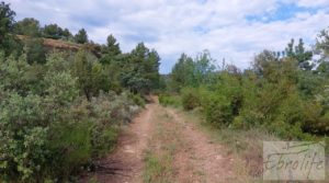 Foto de Hermosa finca con casa de piedra en La Fresneda. en venta con balsa de riego