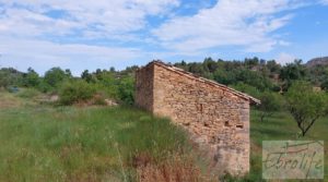 Hermosa finca con casa de piedra en La Fresneda. a buen precio con balsa de riego