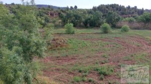 Hermosa finca con casa de piedra en La Fresneda. en oferta con balsa de riego