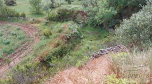 Foto de Hermosa finca con casa de piedra en La Fresneda. con balsa de riego por 35.000€