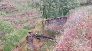 Hermosa finca con casa de piedra en La Fresneda. para vender con balsa de riego por 35.000€