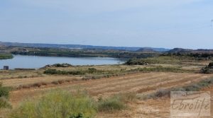 Detalle de Finca junto al gran embalse en Caspe con muy tranquilo