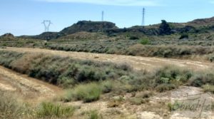 Vendemos Finca junto al gran embalse en Caspe con muy tranquilo