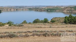 Finca junto al gran embalse en Caspe a buen precio con muy tranquilo