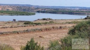 Finca junto al gran embalse en Caspe a buen precio con muy tranquilo por 66.000€