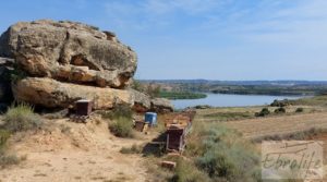 Detalle de Finca junto al gran embalse en Caspe con muy tranquilo