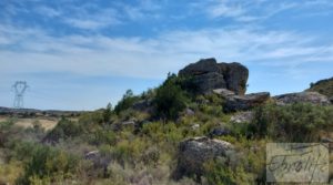 Foto de Finca junto al gran embalse en Caspe con muy tranquilo por 66.000€