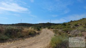 Finca junto al gran embalse en Caspe en oferta con muy tranquilo