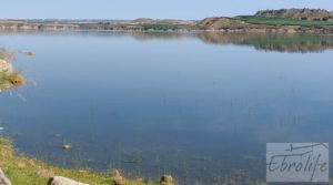 Finca junto al gran embalse en Caspe a buen precio con muy tranquilo