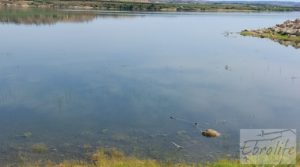 Foto de Finca junto al gran embalse en Caspe en venta con muy tranquilo