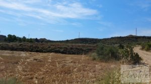 Finca junto al gran embalse en Caspe para vender con muy tranquilo