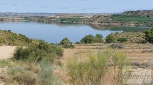 Finca junto al gran embalse en Caspe a buen precio con muy tranquilo por 66.000€