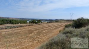 Finca junto al gran embalse en Caspe en oferta con muy tranquilo