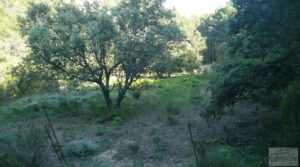 Detalle de Gran finca en Peñarroya de Tastavins con privacidad y tranquilidad por 330.000€