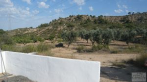 Foto de Masía en Fabara con huerto, jardín y gran terraza. en venta con huerto