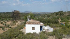 Masía en Fabara con huerto, jardín y gran terraza. a buen precio con huerto por 48.000€