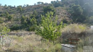 Foto de Masía en Fabara con huerto, jardín y gran terraza. con jardín