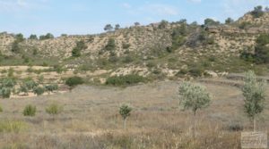 Masía en Fabara con huerto, jardín y gran terraza. a buen precio con jardín