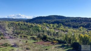 Olivar junto al río Matarraña en Mazaleón. a buen precio con buen acceso