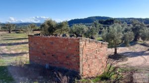 Foto de Olivar junto al río Matarraña en Mazaleón. con buen acceso