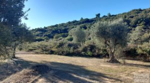 Finca con masía en Maella. en venta con cisterna de agua de lluvia