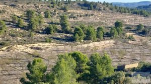 Foto de Finca con masía en Maella. en venta con cisterna de agua de lluvia