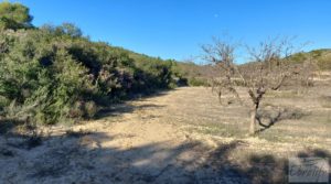 Se vende Finca con masía en Maella. con cisterna de agua de lluvia por 17.000€