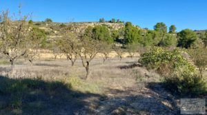 Detalle de Finca con masía en Maella. con cisterna de agua de lluvia