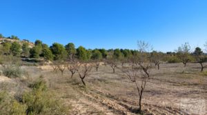 Foto de Finca con masía en Maella. con cisterna de agua de lluvia por 17.000€