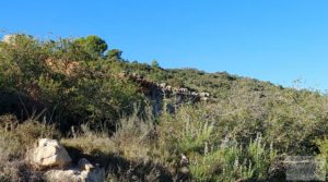 Foto de Finca con masía en Maella. con cisterna de agua de lluvia por 17.000€