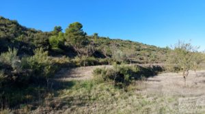 Finca con masía en Maella. para vender con cisterna de agua de lluvia