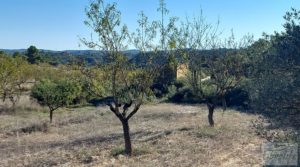 Foto de Finca con masía en Maella. con cisterna de agua de lluvia por 17.000€