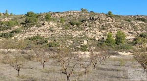 Finca con masía en Maella. en oferta con cisterna de agua de lluvia