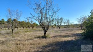 Detalle de Finca con masía en Maella. con cisterna de agua de lluvia por 17.000€