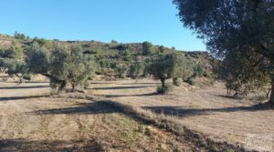 Detalle de Finca con masía en Maella. con cisterna de agua de lluvia