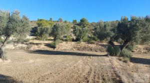 Detalle de Finca con masía en Maella. con cisterna de agua de lluvia por 17.000€