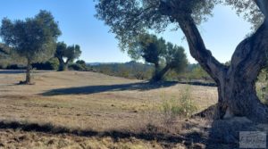 Se vende Finca con masía en Maella. con cisterna de agua de lluvia