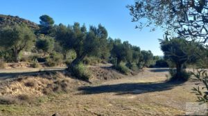 Finca con masía en Maella. en oferta con cisterna de agua de lluvia