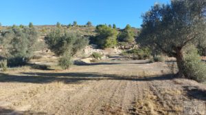 Vendemos Finca con masía en Maella. con cisterna de agua de lluvia por 17.000€