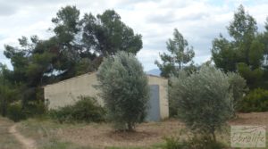 Se vende Masía y olivar en Batea con chimenea por 22.000€