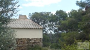 Detalle de Masía y olivar en Batea con chimenea por 22.000€