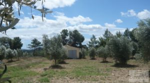 Vendemos Masía y olivar en Batea con deposito de agua