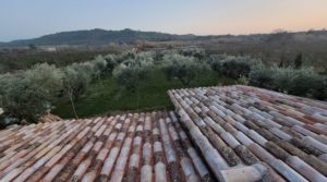 Detalle de Finca rústica en zona rural de Fabara con energía solar