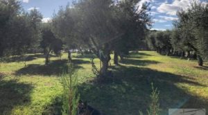 Finca rústica en zona rural de Fabara para vender con ventanas térmicas